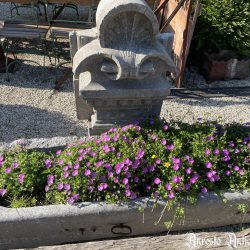Ref. 118 – Antieke Ardeense trog foto 1